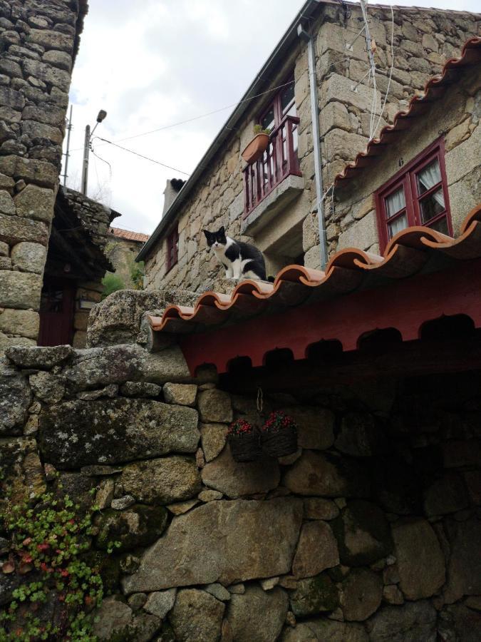 Casas Na Terra Villa Seia Exterior photo